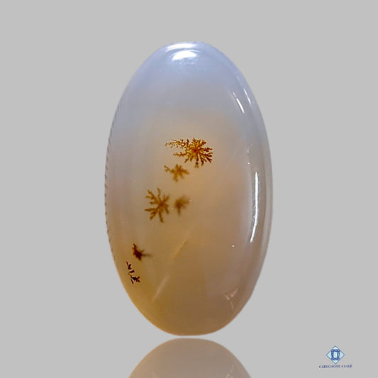 Dendritic Agate