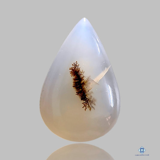 Dendritic Agate