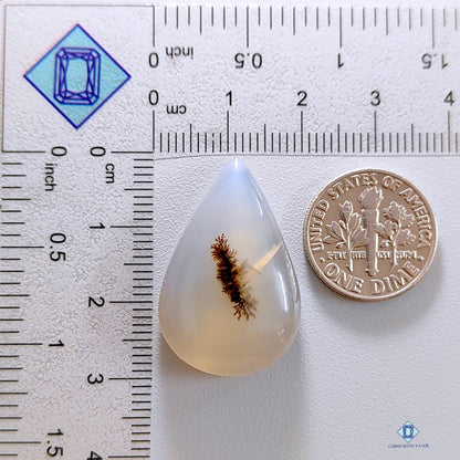 Dendritic Agate Pear Cabochons