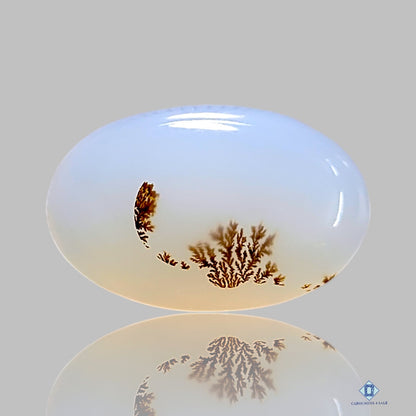 Dendritic Agate