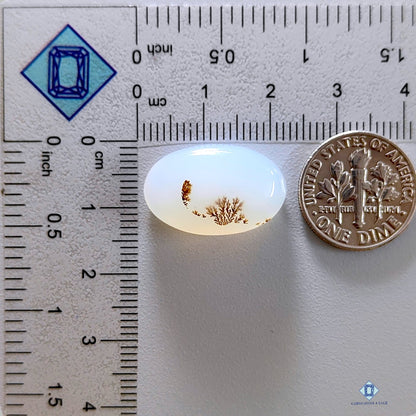 Dendritic Agate Oval Cabochons