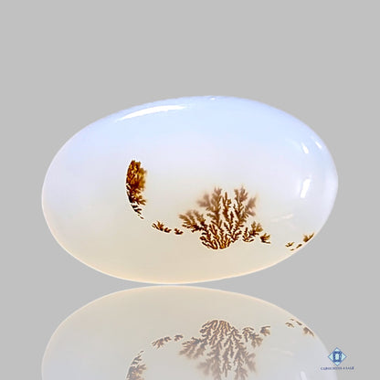 Dendritic Agate Oval Cabochons