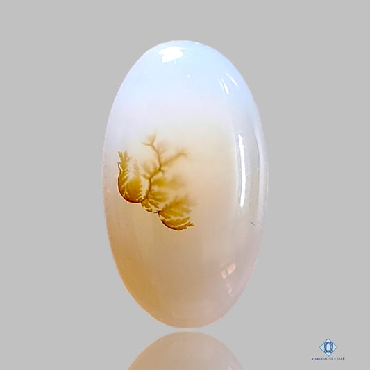 Dendritic Agate