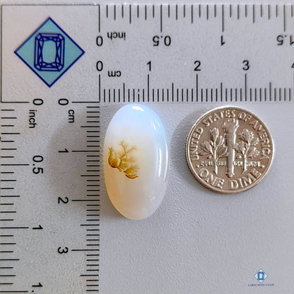 Dendritic Agate Oval Cabochons