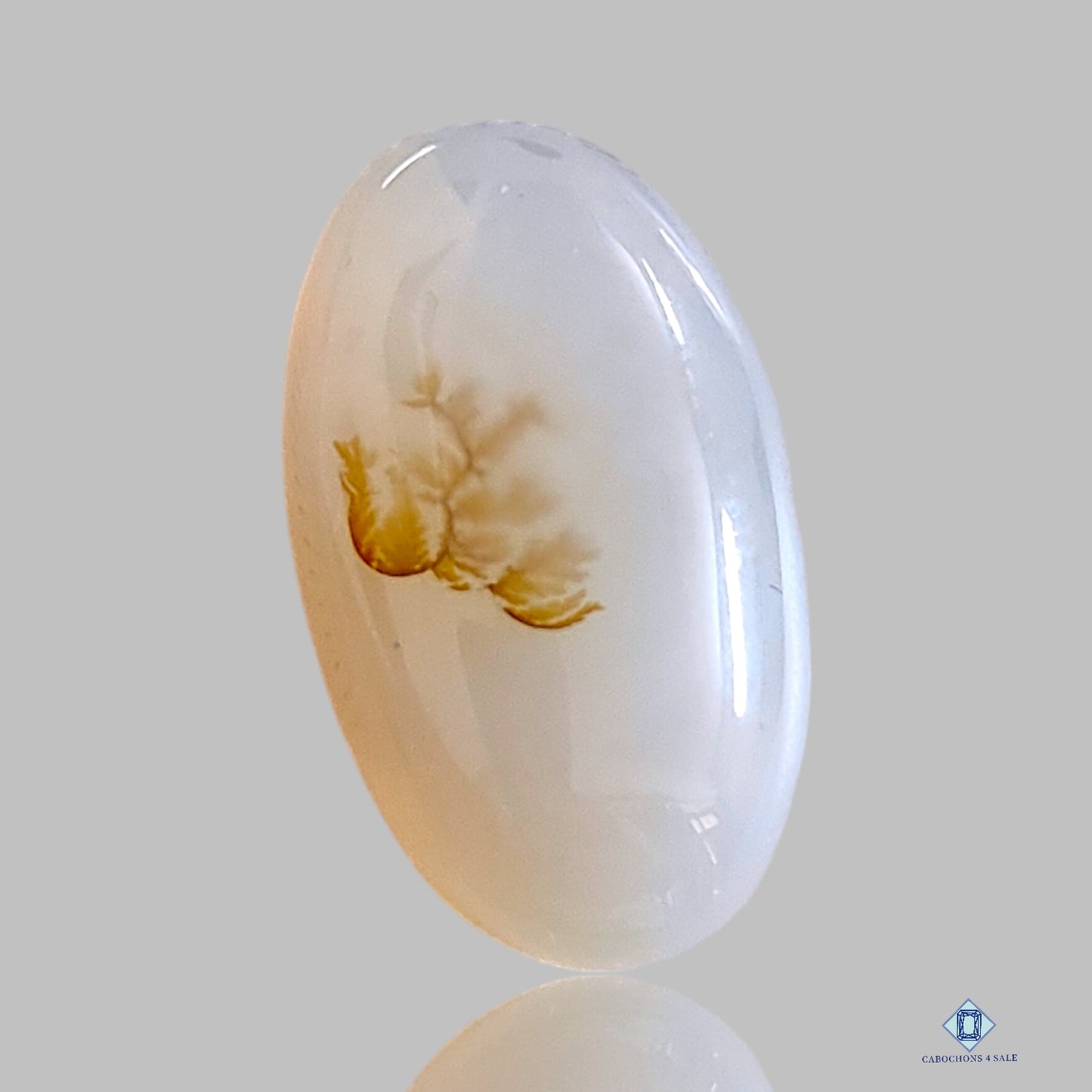 Dendritic Agate Oval Cabochons