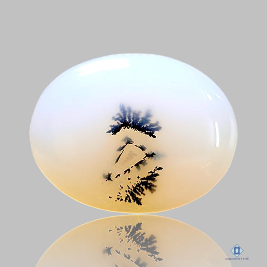 Dendritic Agate