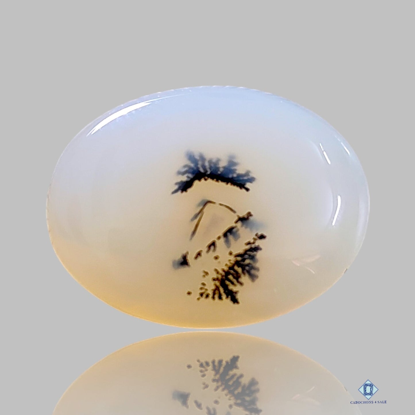 Dendritic Agate Oval Cabochons