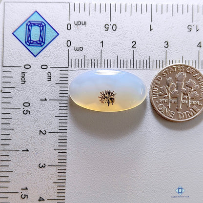 Dendritic Agate Oval Cabochons