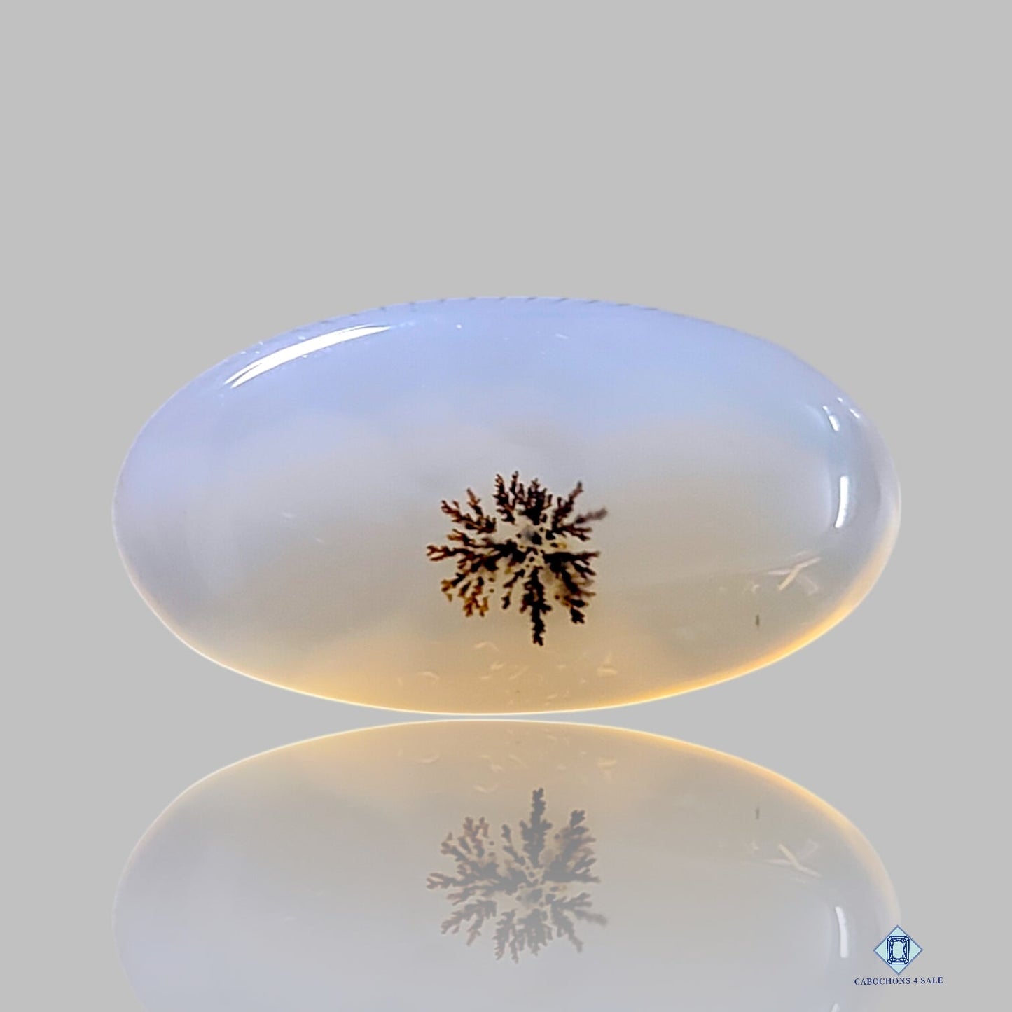 Dendritic Agate Oval Cabochons