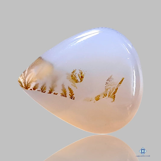 Dendritic Agate