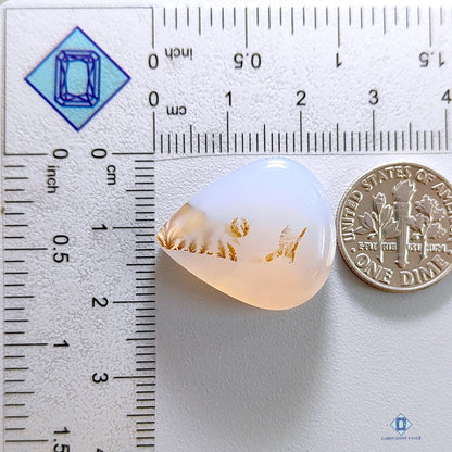 Dendritic Agate Pear Cabochons