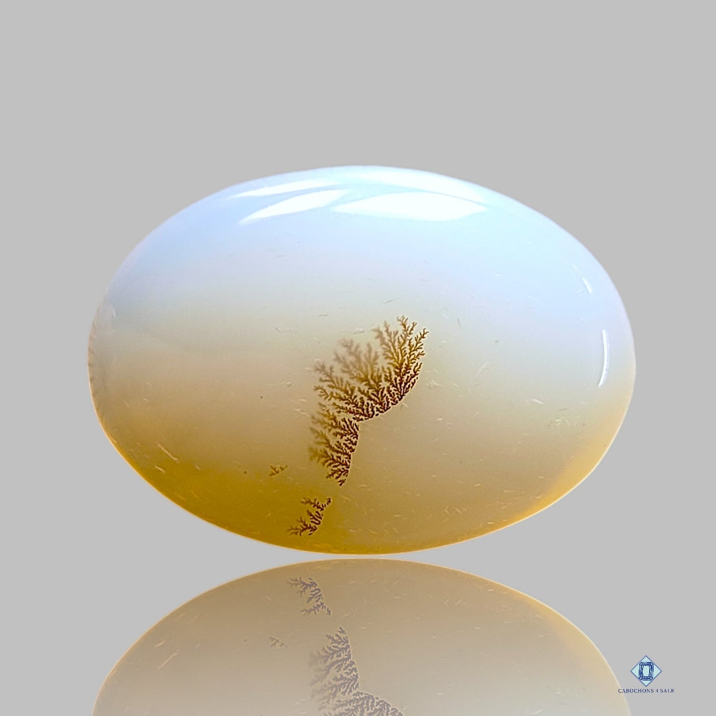 Dendritic Agate