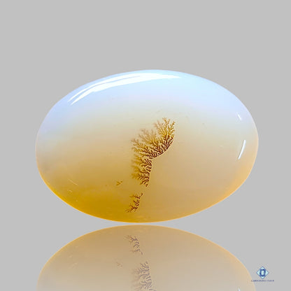 Dendritic Agate Oval Cabochons