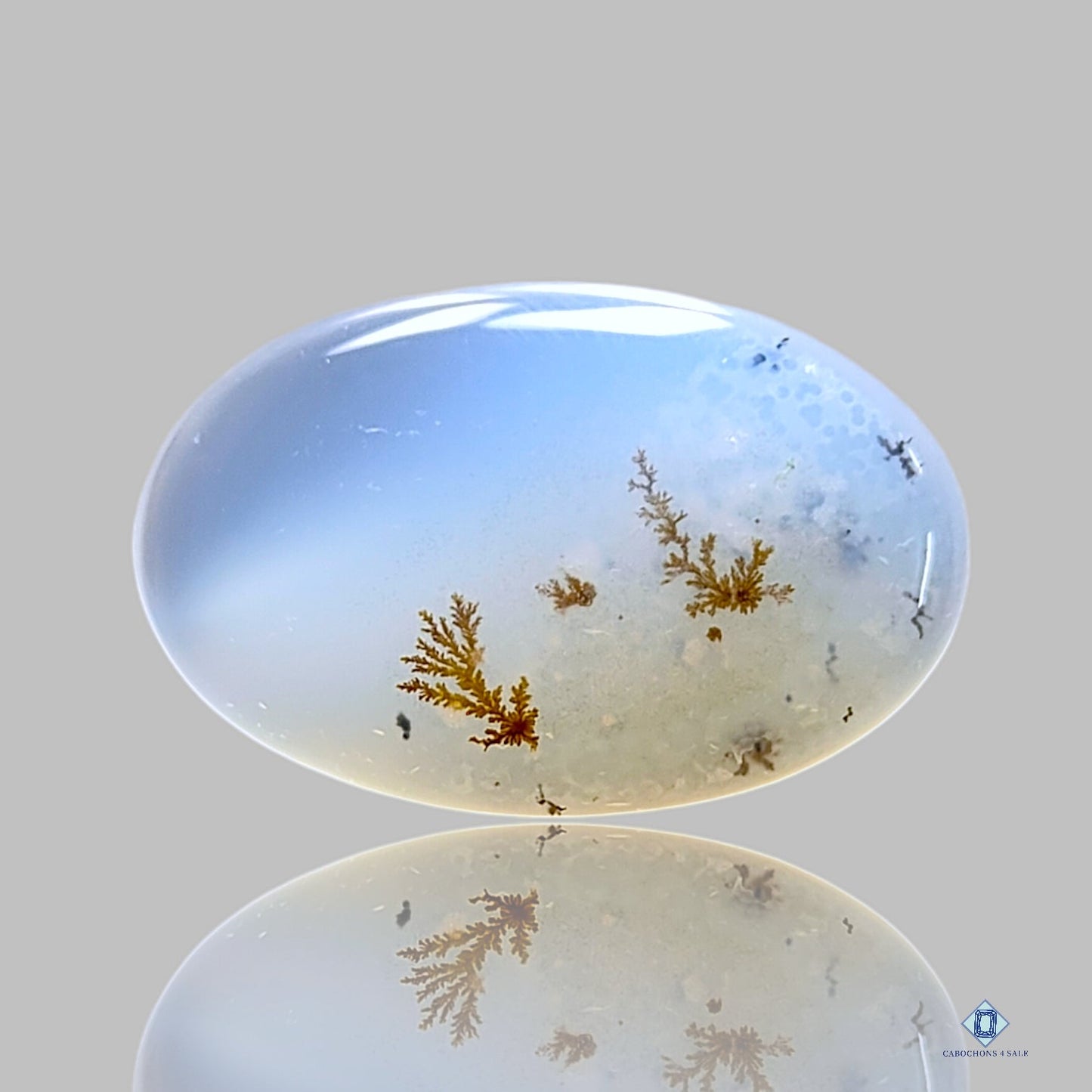 Dendritic Agate