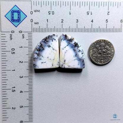 Dendritic Agate Fancy Pairs