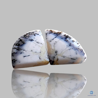 Dendritic Agate Fancy Pairs