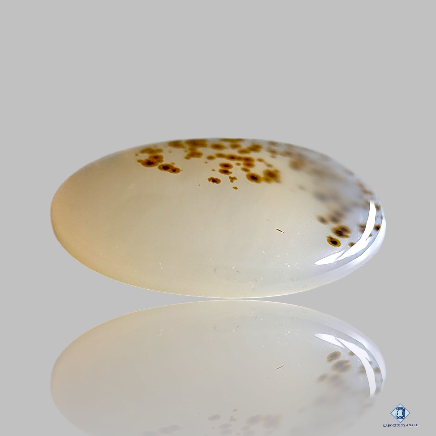 Dendritic Agate Oval Cabochons