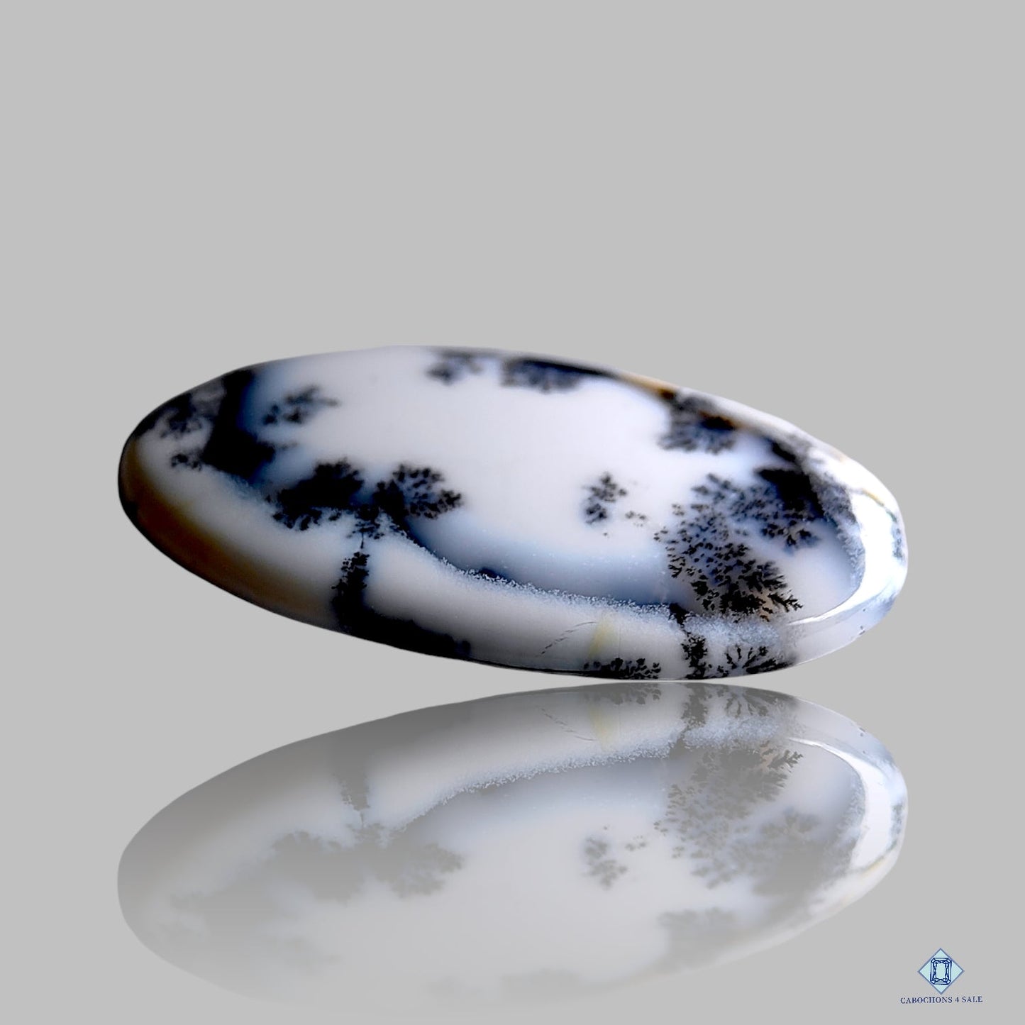 Dendritic Agate Oval Cabochons