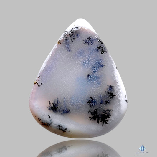 Dendritic Agate