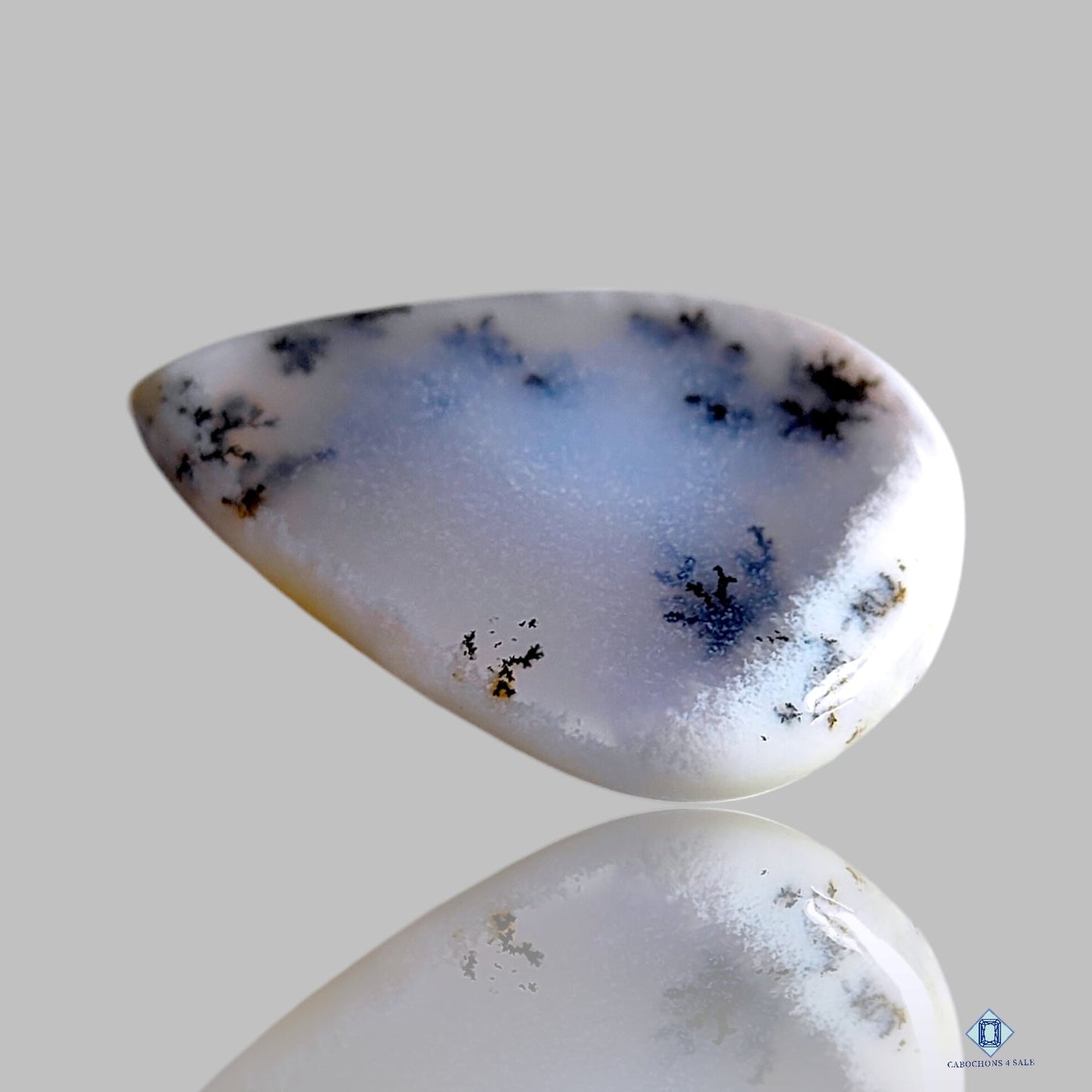 Dendritic Agate Pear Cabochons