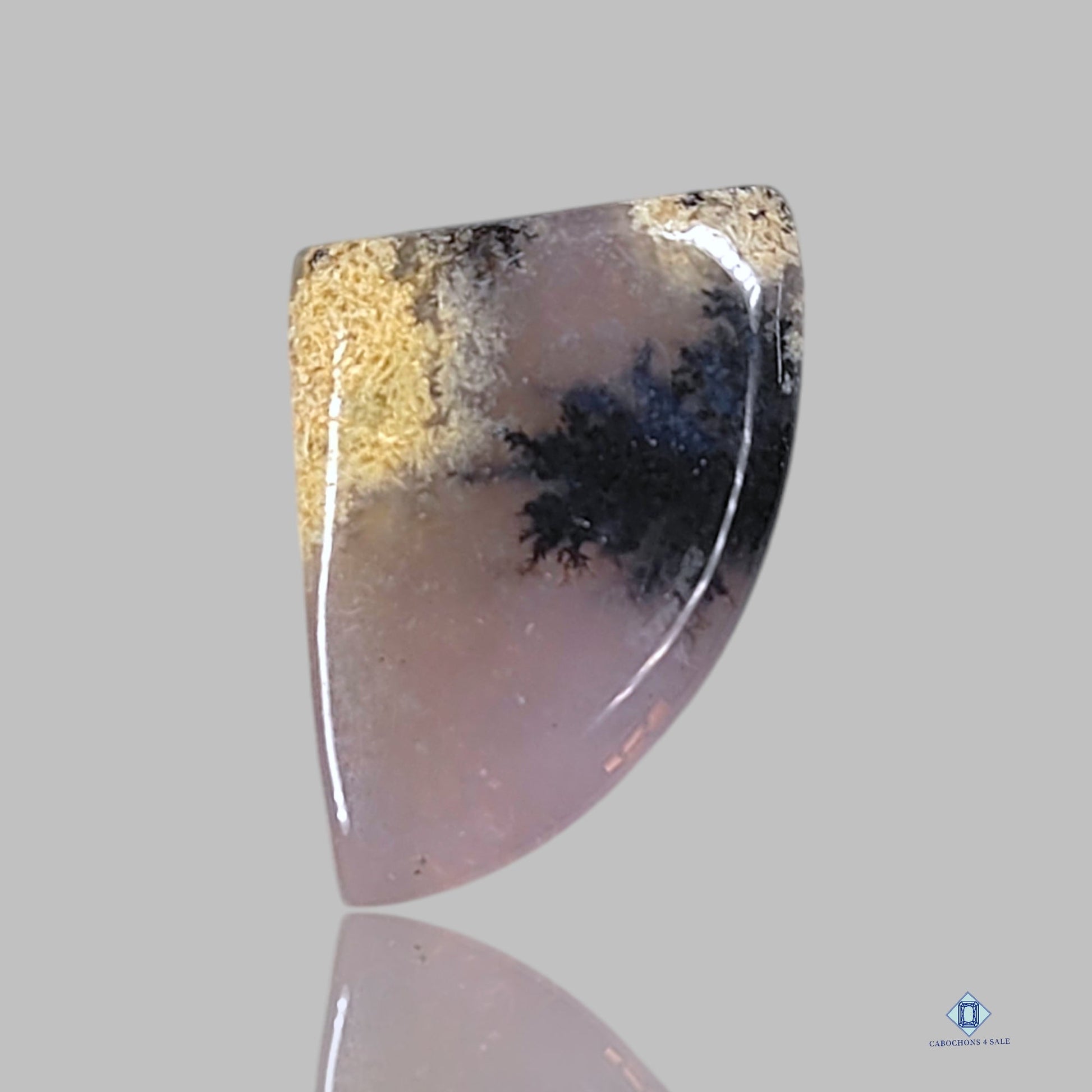 Dendritic Agate