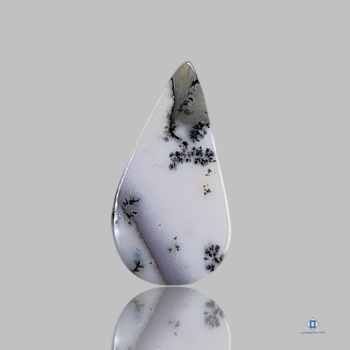 Dendritic Agate