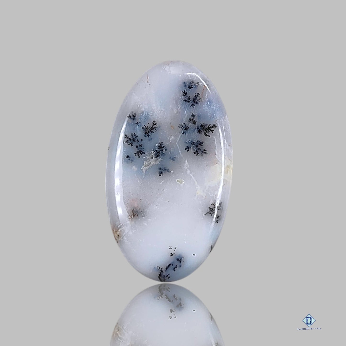 Dendritic Agate