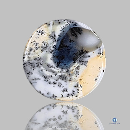 Dendritic Agate