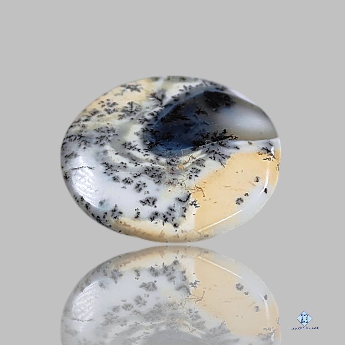 Dendritic Agate Round Cabochons