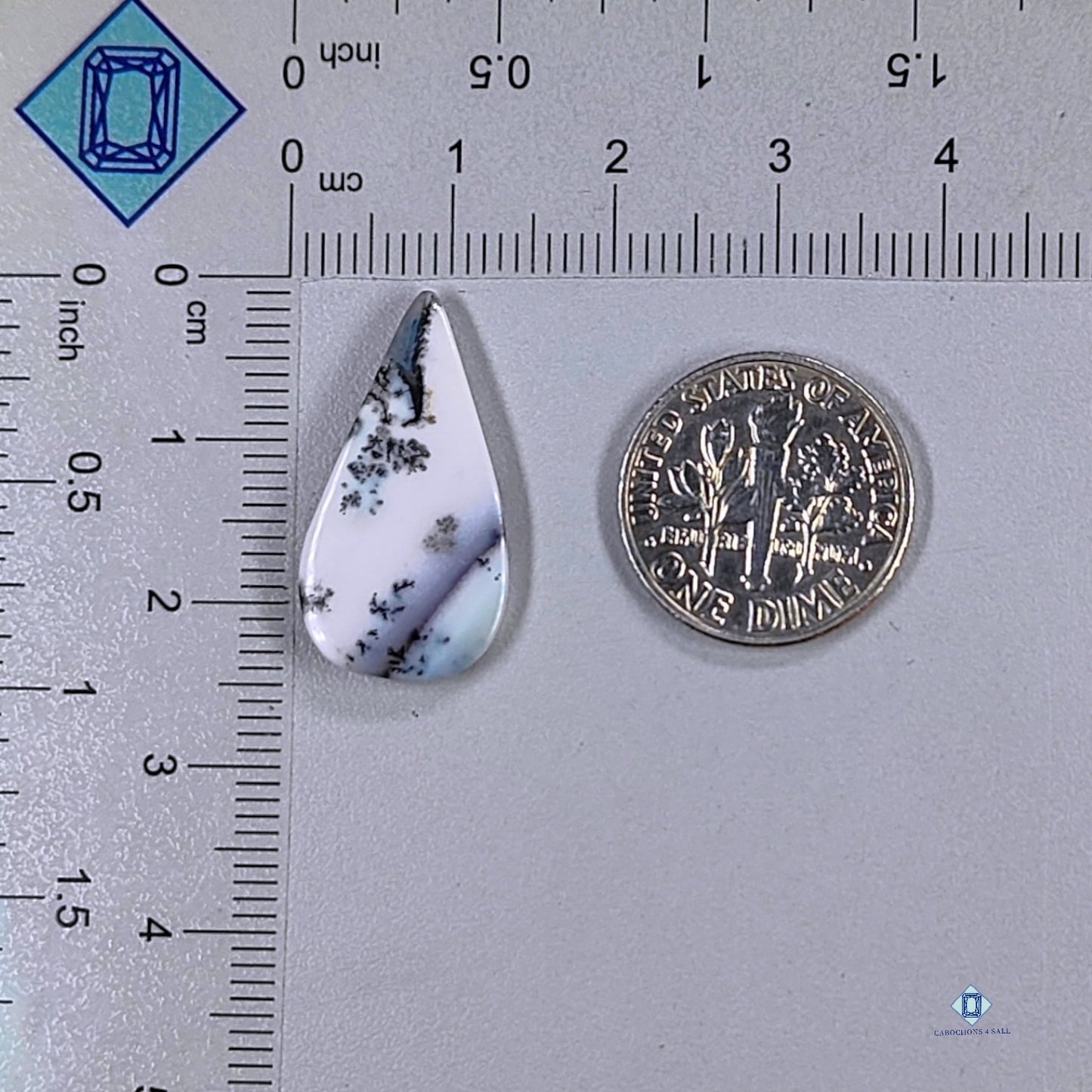 Dendritic Agate Pear Cabochons