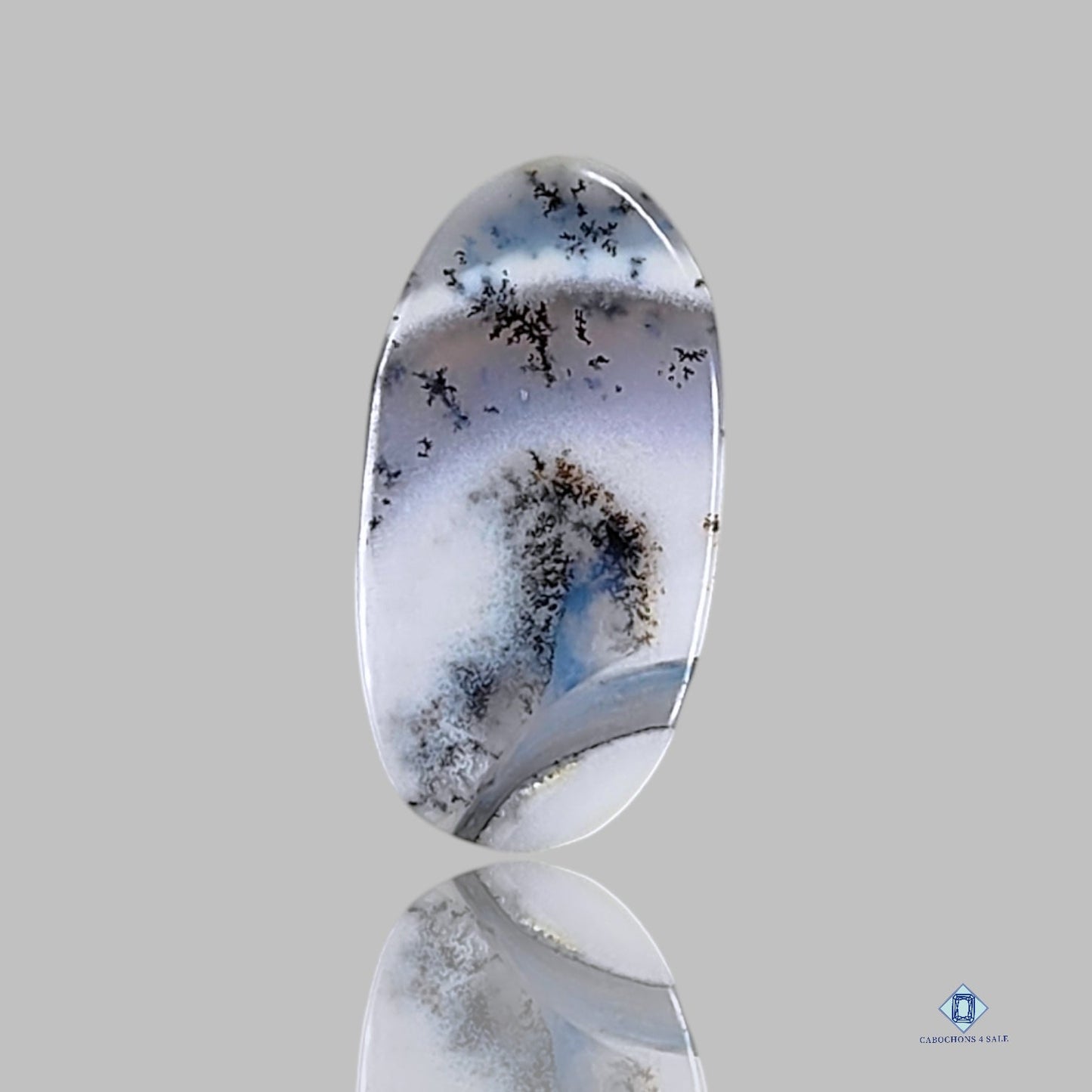 Dendritic Agate