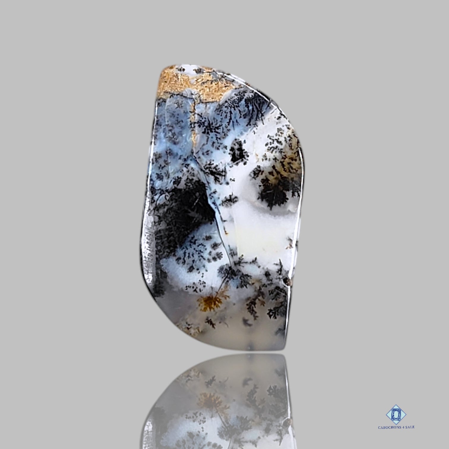 Dendritic Agate