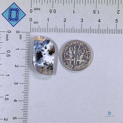 Dendritic Agate Fancy Cabochons