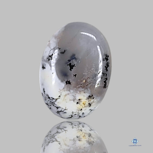 Dendritic Agate