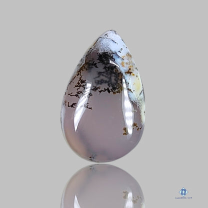 Dendritic Agate