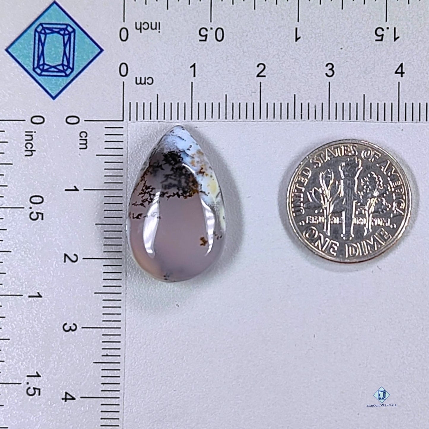 Dendritic Agate Pear Cabochons