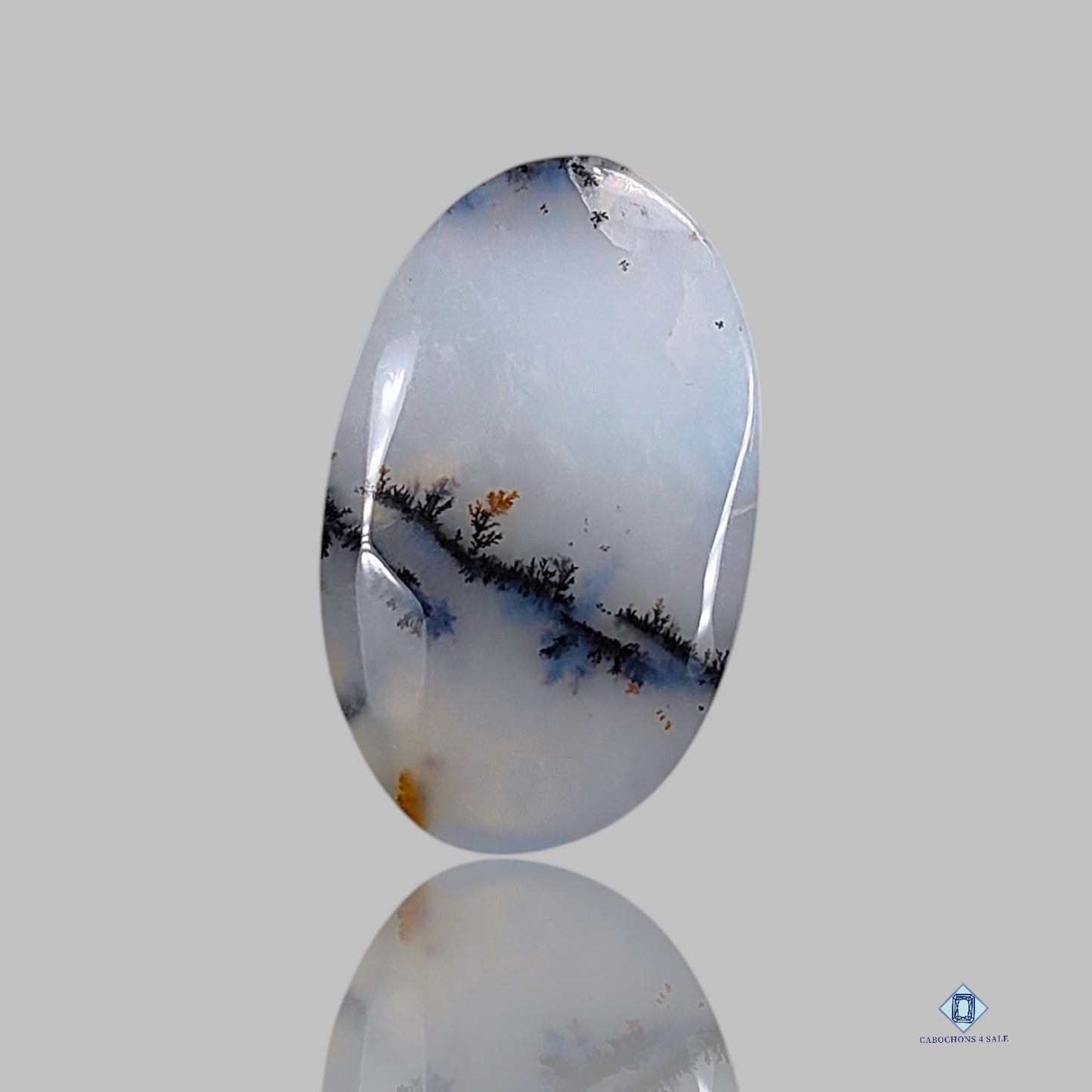 Dendritic Agate