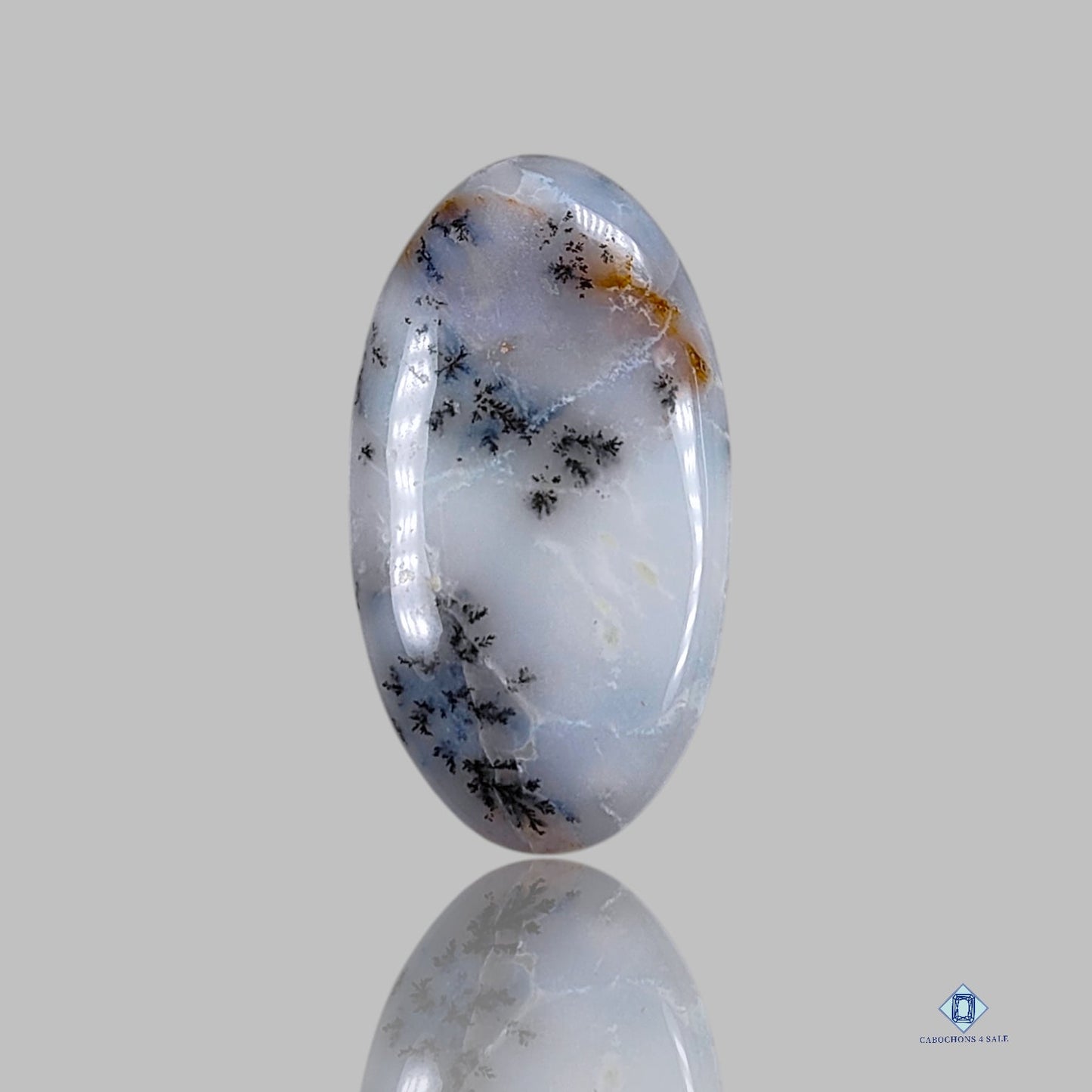 Dendritic Agate