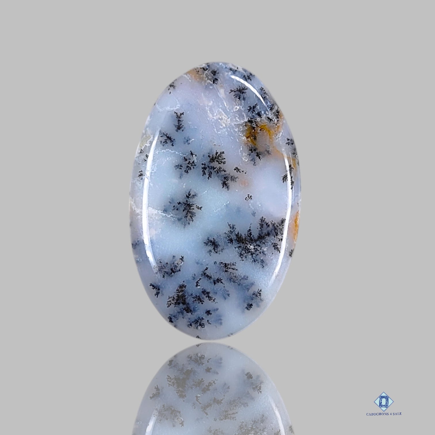 Dendritic Agate