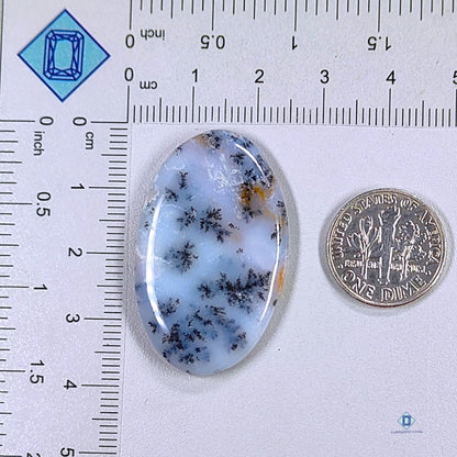 Dendritic Agate Oval Cabochons