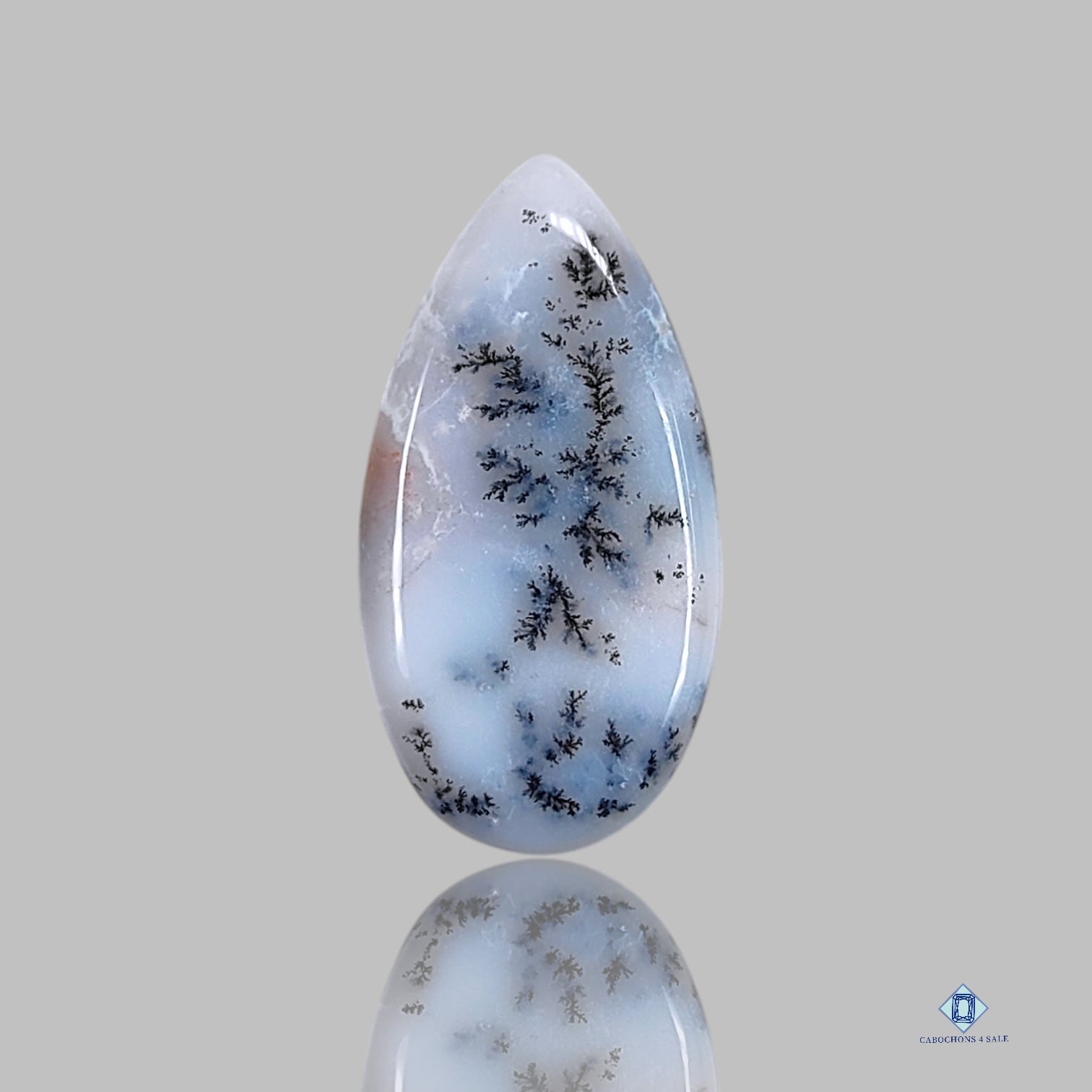 Dendritic Agate