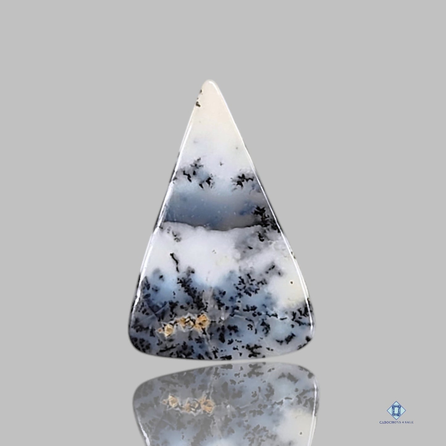 Dendritic Agate