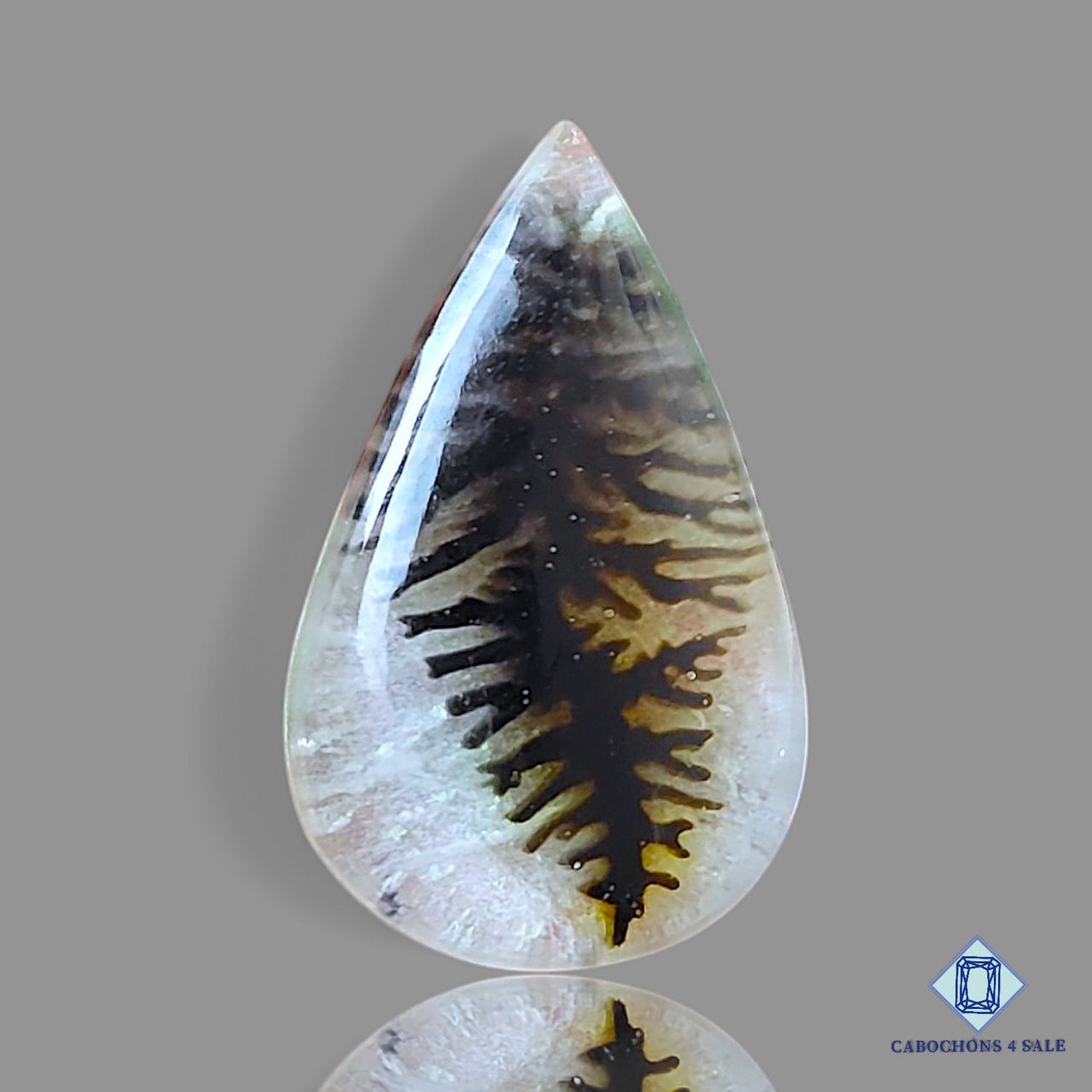 Dendritic Agate + Crystal Quartz Doublets