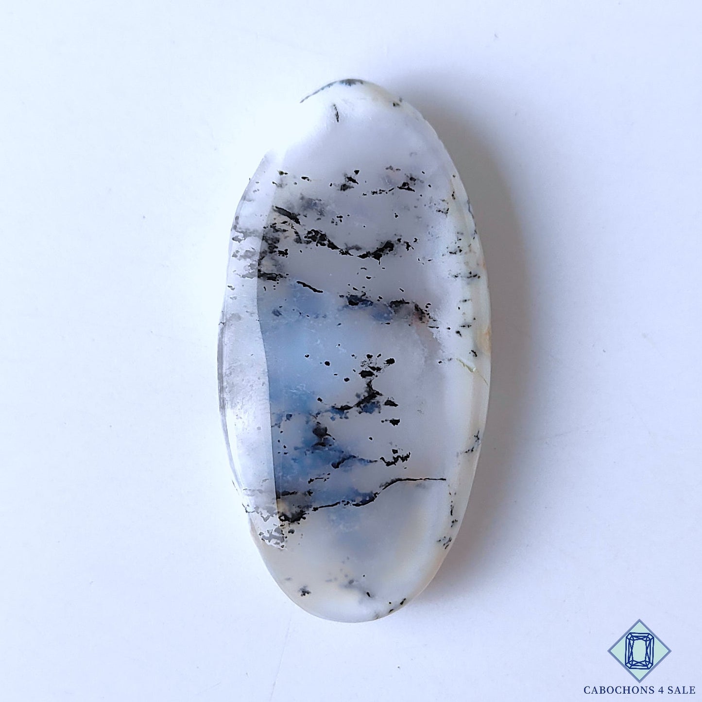 Dendritic Opal