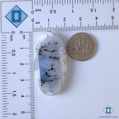 Dendritic Opal