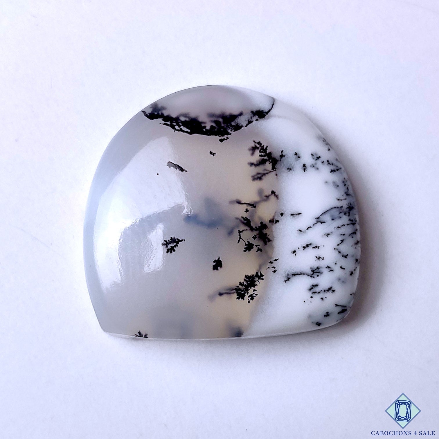 Dendritic Opal