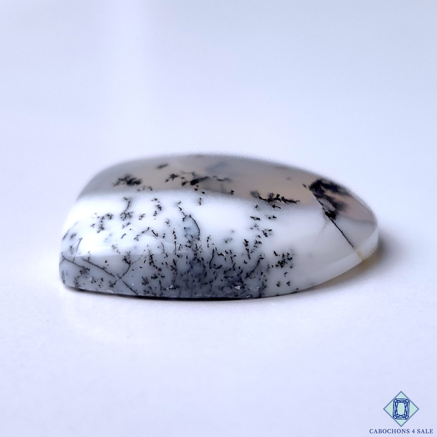 Dendritic Opal