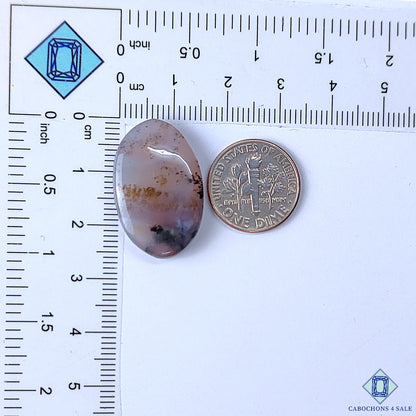 Dendritic Opal
