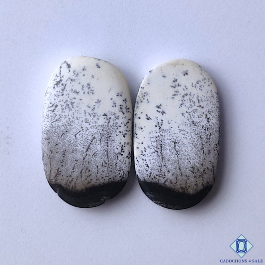 Dendritic Opal
