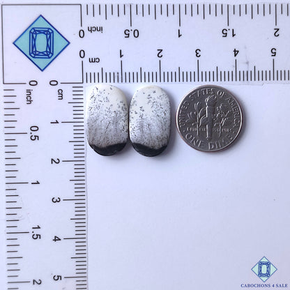 Dendritic Opal